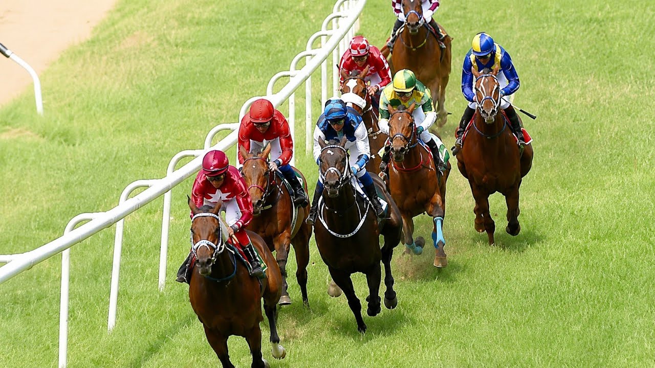 #bangalore | 24 MAY 2026 | RACE 1 | THE BEAUTIFUL BABE PLATE | STUD POKER with ANTONY RAJ S. 