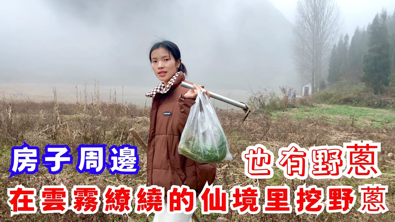 沒想到在房子周邊也有野蔥，小梅和韋安娜的娛樂居然是挖野蔥，在雲霧繚繞的仙境里挖野蔥