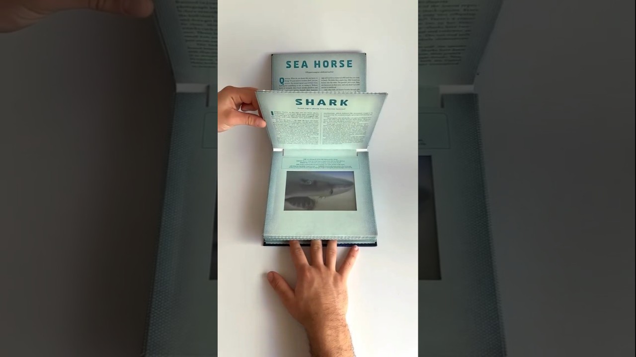 Ocean: A Photicular Book &ndash; Immersive 3D Underwater Adventure