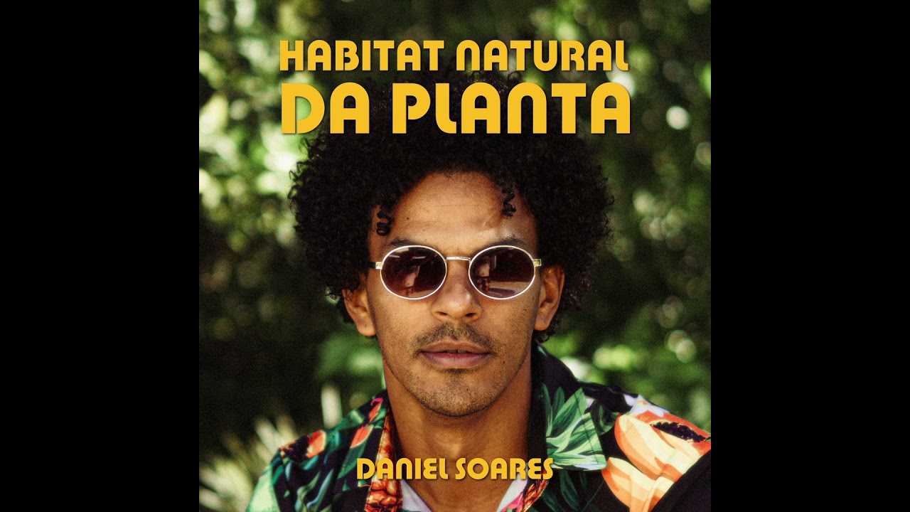Habitat Natural da Planta | Daniel Soares