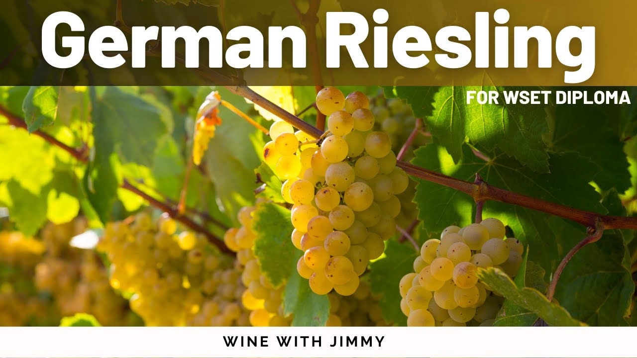 Germany's Key Grape Variety, Riesling for WSET LEvel 4 (Diploma)