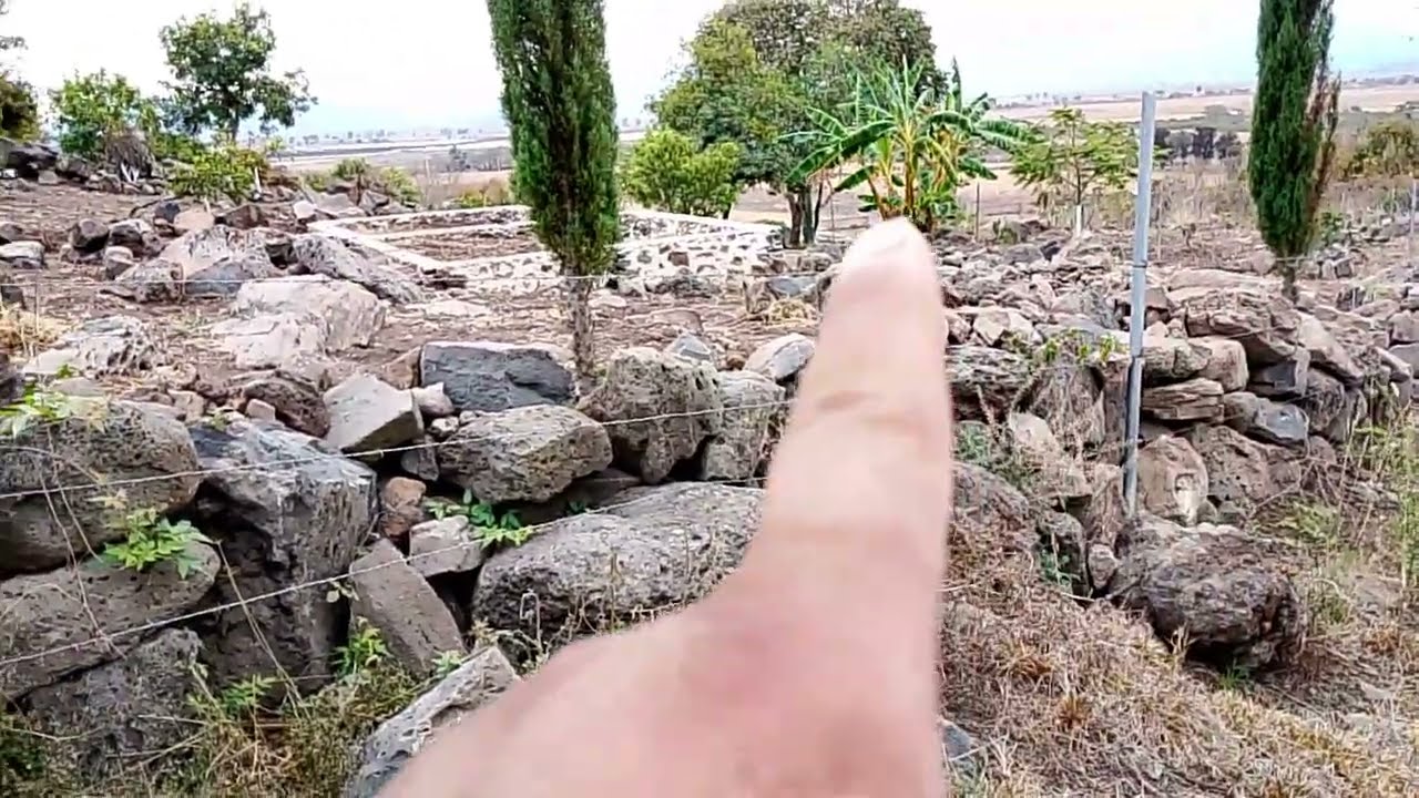 Mira qué bonito monte en este ranchito chapitiro Michoacán