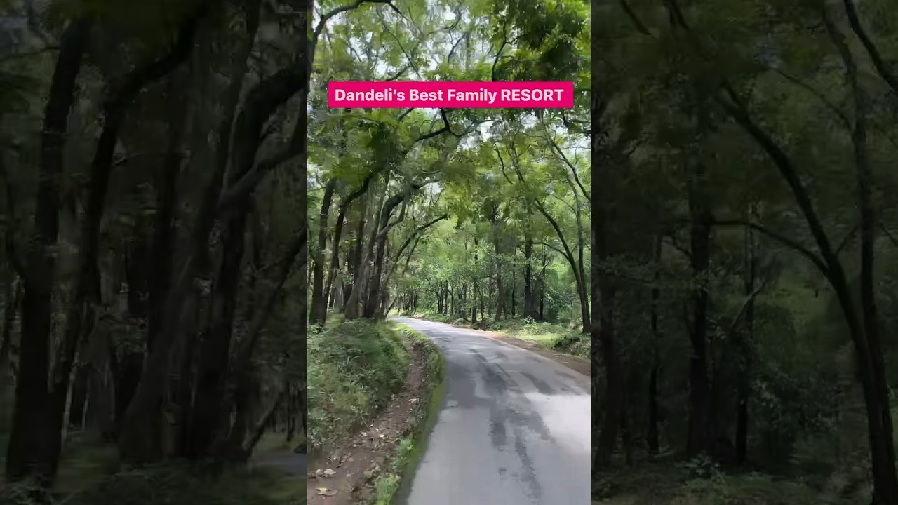 Best family resort in Dandeli | Dandeli Resorts | Manomaya Cottages Dandeli | #dandeli #resorts