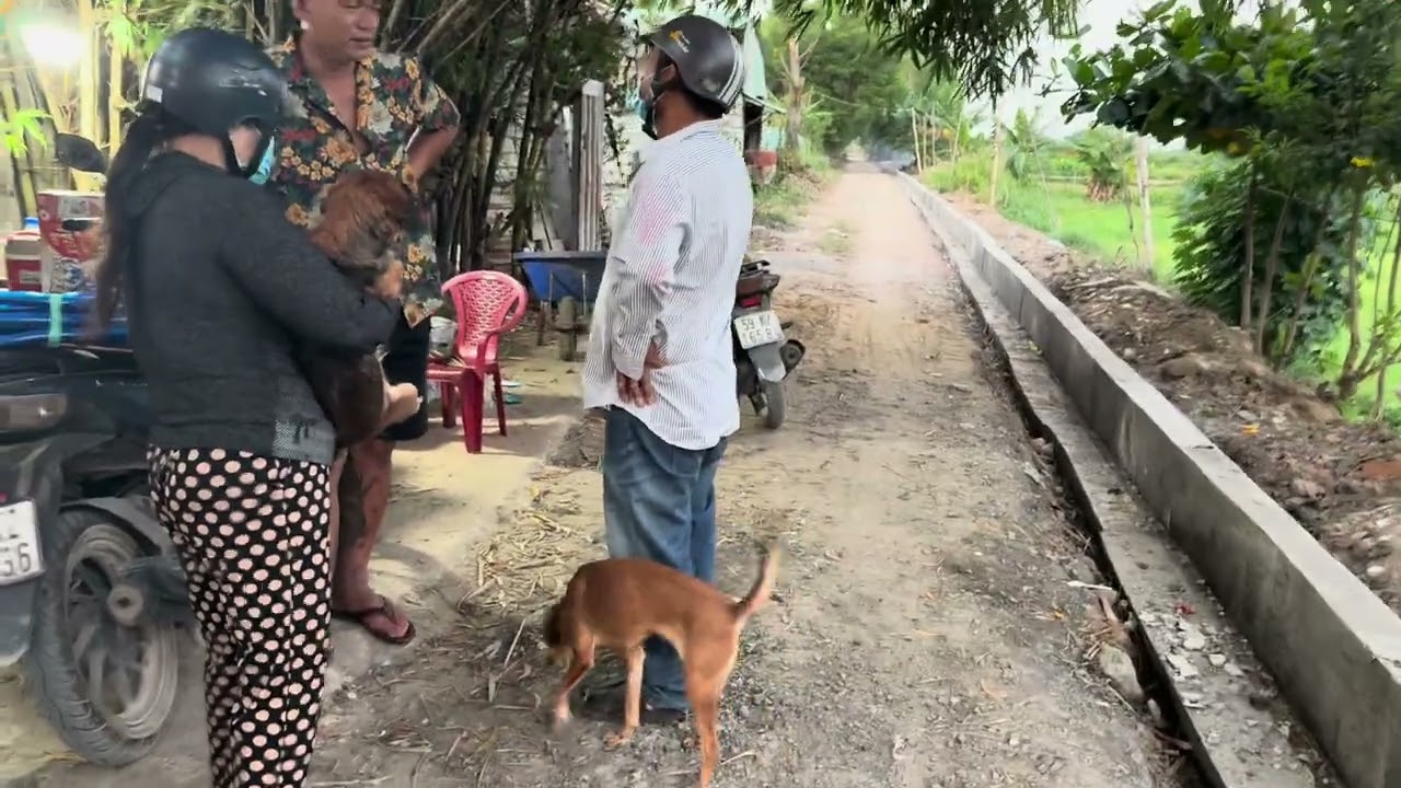 Vì hoàn cảnh gia đình nên vợ chồng cho 2 bé chó vào trạm ￼ nay thu xếp xong quay lại xin nhận lại