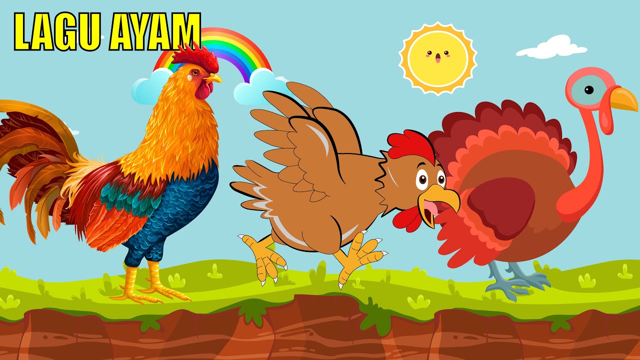Lagu Ayam | Macam Macam Ayam | Lagu Anak Indonesia Populer