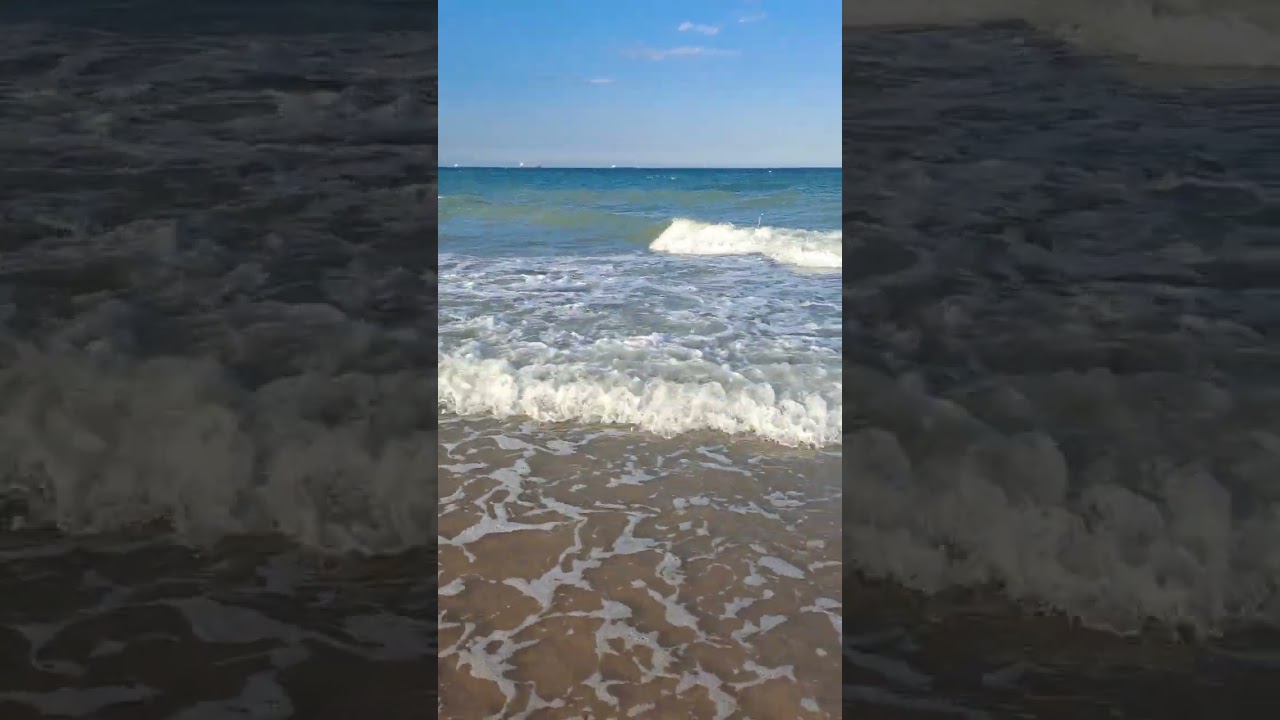 playa de El Saler, en Valencia. a solo 15 min del centro