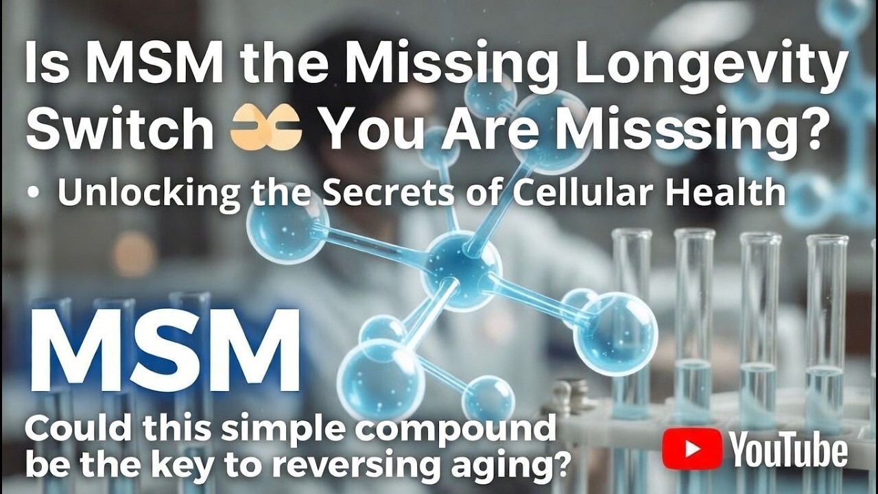 Is MSM the Missing Longevity Switch You Are Missing?