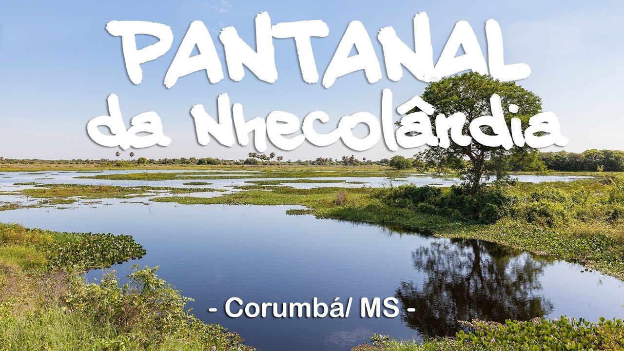 Estrada Parque e Pantanal da Nhecolândia - Corumbá/ MS