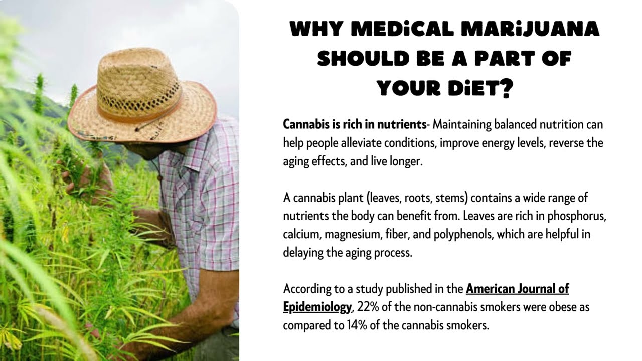 Use Cannabis as a Part of a Healthy Lifestyle With Medical Marijuana Evaluations in Sacramento