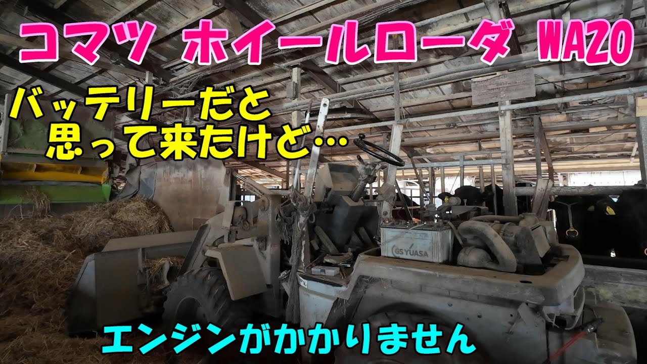 さっきまで使ってたホイールローダがエンジンかからなくなりました。。
