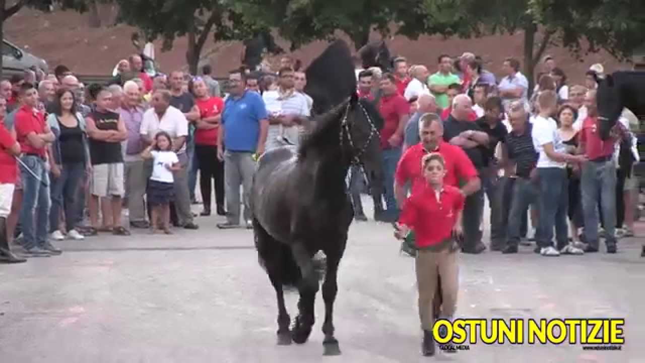 Solenni Festeggiamenti in Onore di Sant'Oronzo e Cavalcata 2014