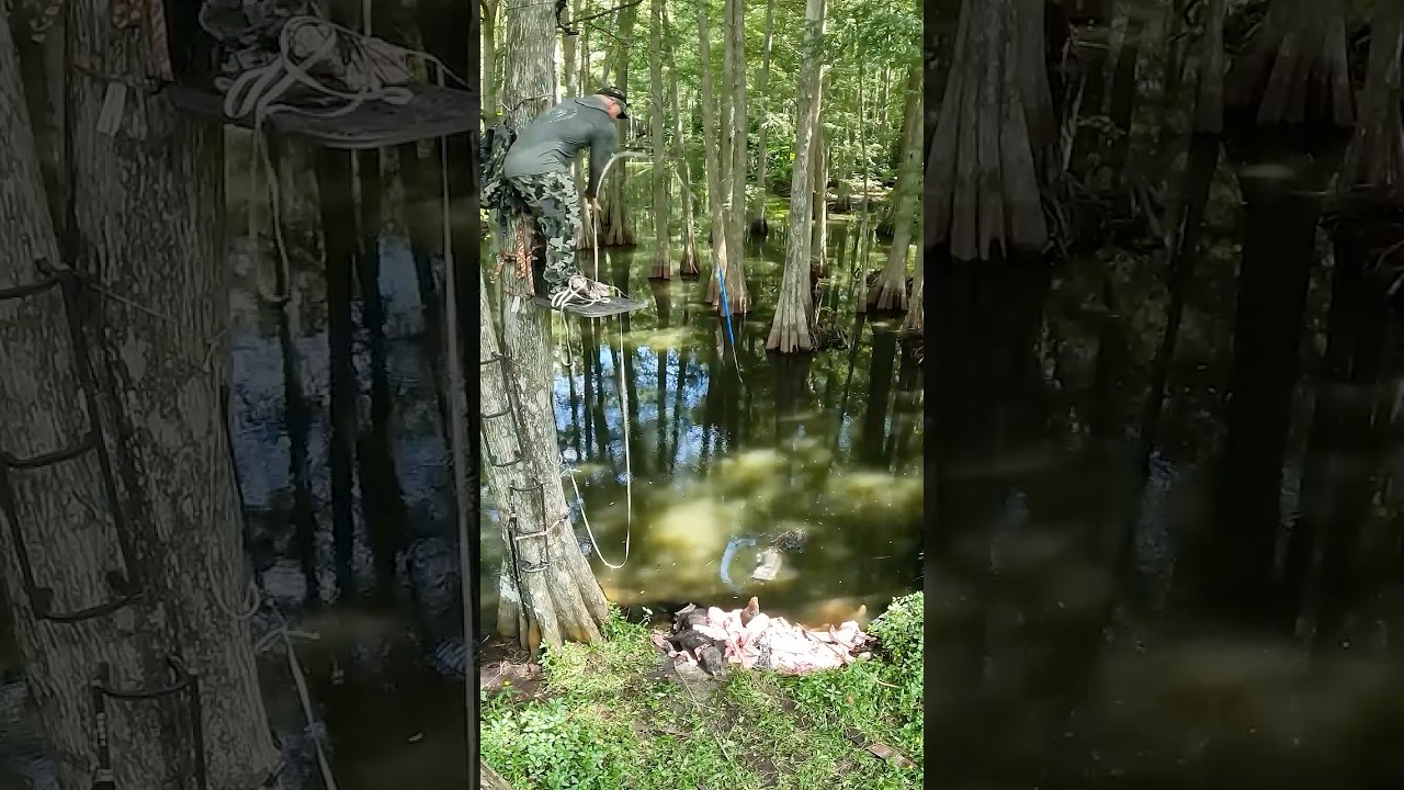 Spear Drops 4, Meat in the Water