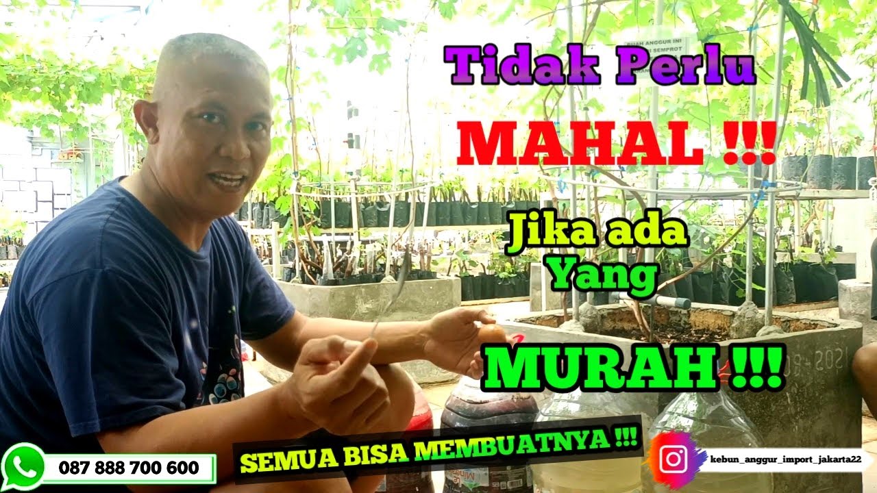 RAHASIA‼️MEMBUAT DAN MEMPERBANYAK  PSB  #psb #pupukorganik #tips