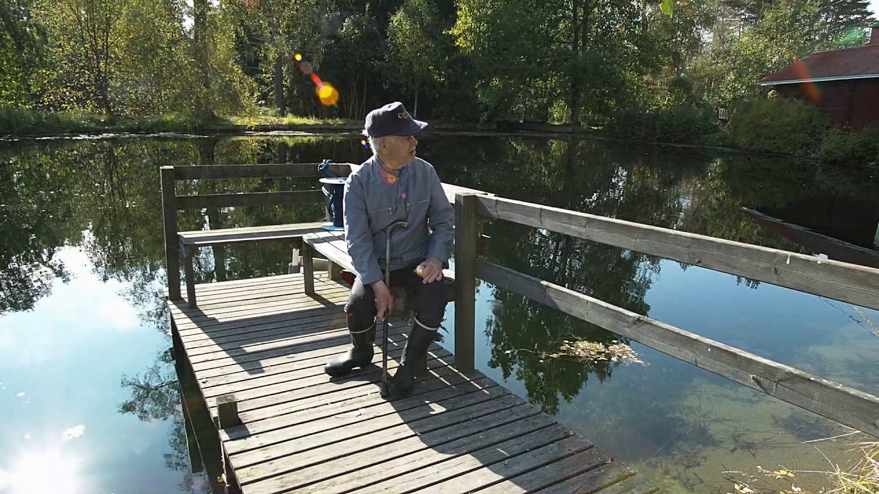 Kuninkaanlähde
