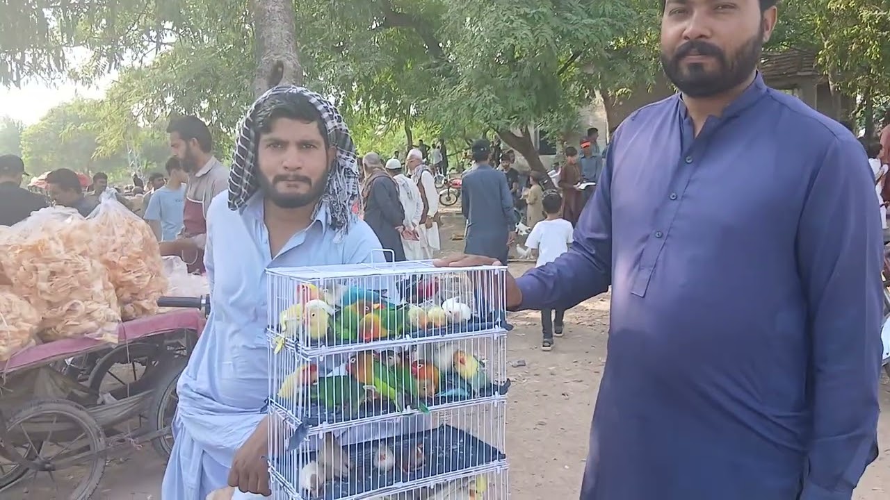 Rawalpindi Birds Market Khana Pull 5th October 2025