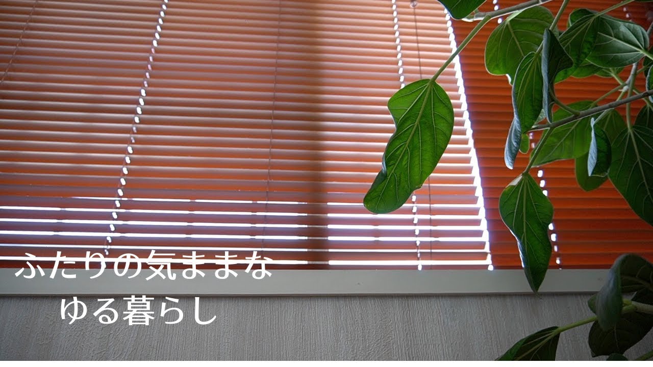 [日常] ふたり暮らし｜ふたりのおうちタイム
