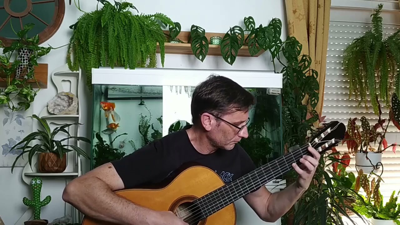 Sonata K217 / L42 - Domenico Scarlatti for Guitar