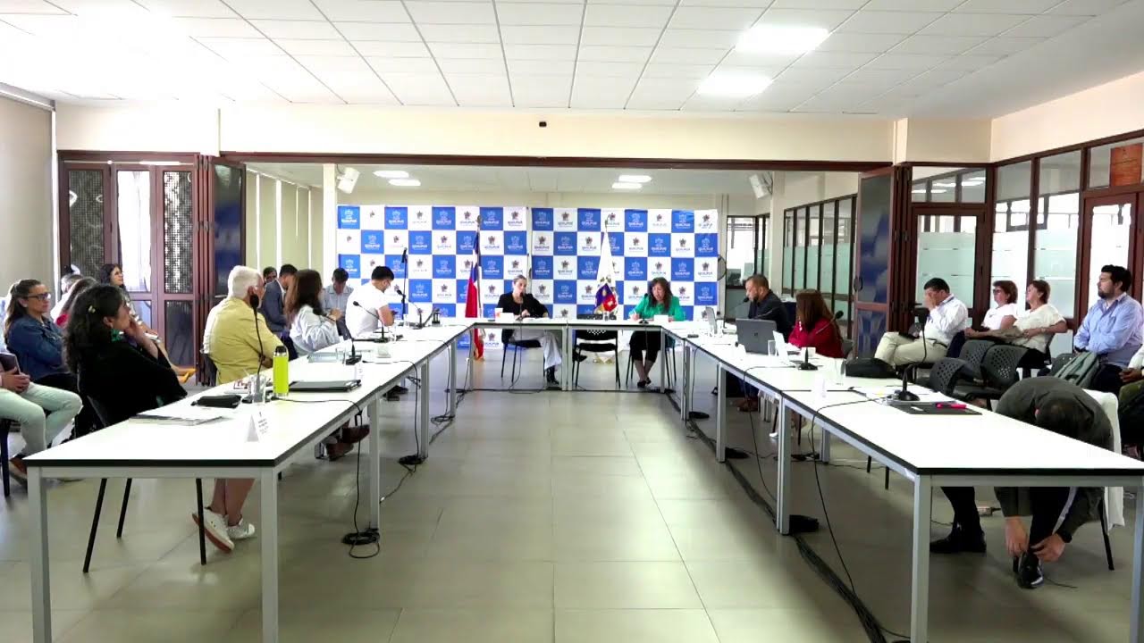Concejo Municipal Sesión Ordinaria N°1/2026