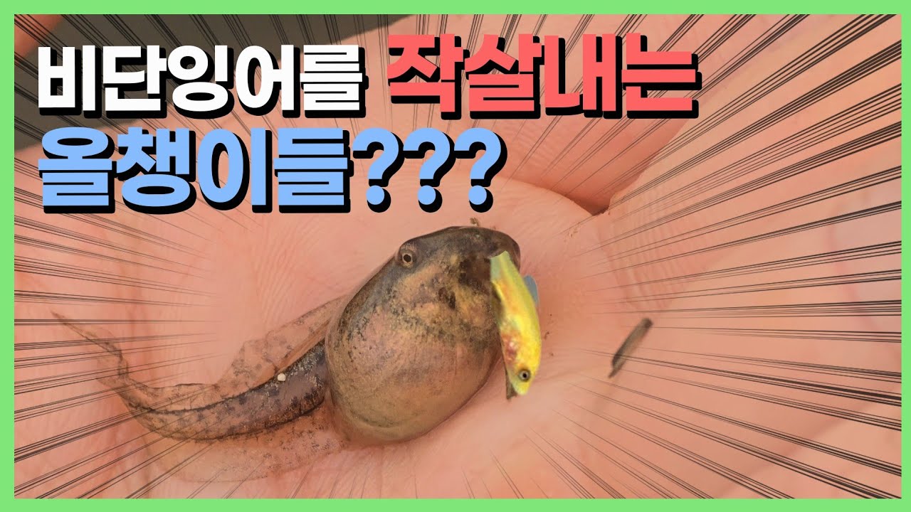 왜 이런 짓을 할까요? [은별 둠벙 l 4]