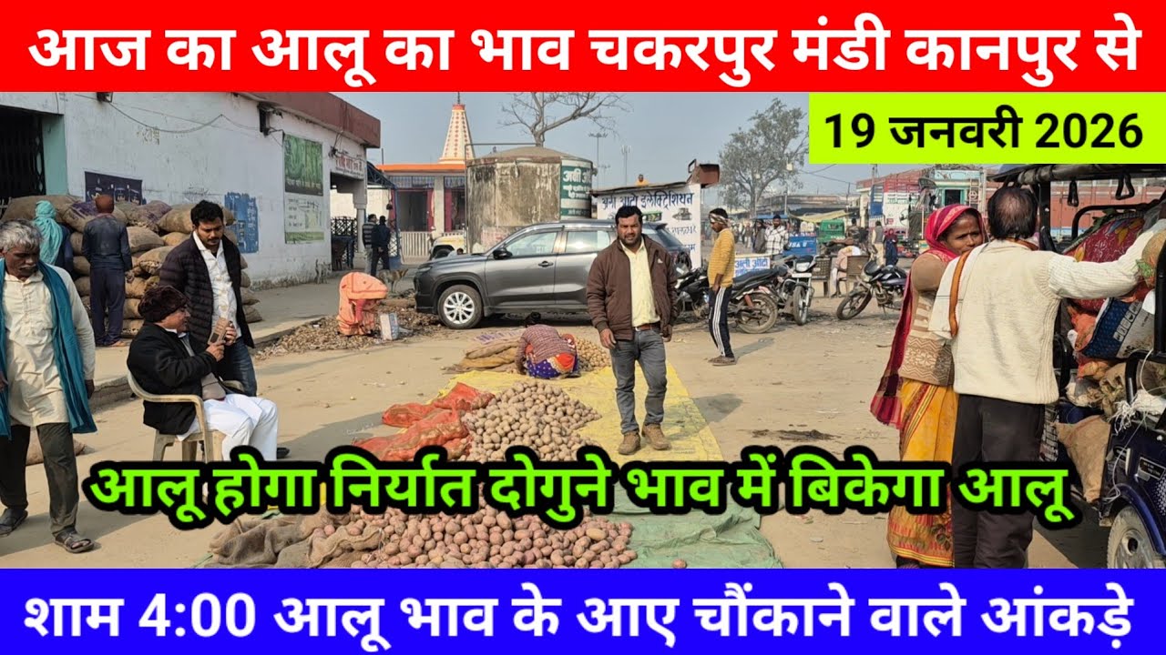 आज का आलू का भाव चकरपुर मंडी कानपुर से शाम 4:00 आलू भाव के आए चौंकाने वाले आंकड़े Aalu Ka Bhav