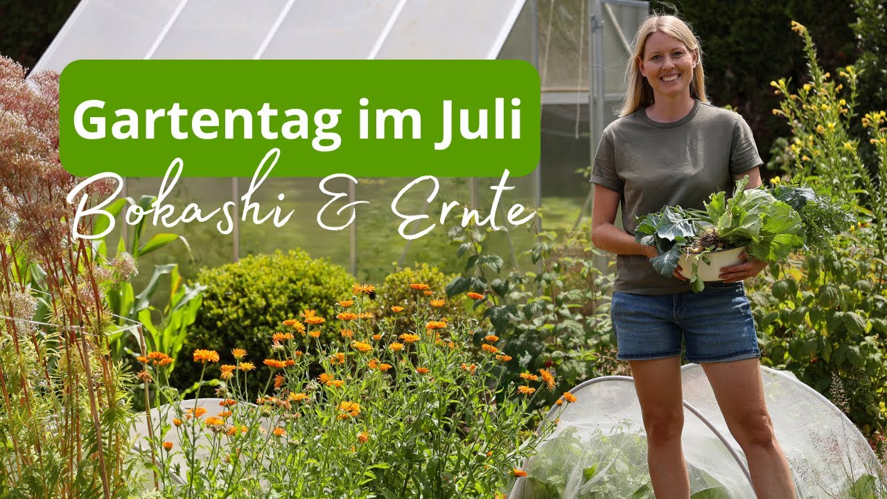 Gartenarbeiten im Juli🌻Tomaten düngen mit Bokashi, Ernte, Unkraut, Update zu den Mäusen 🐭