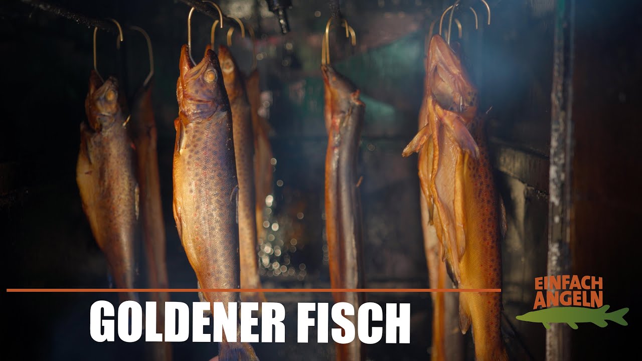 RICHTIG Fische räuchern!