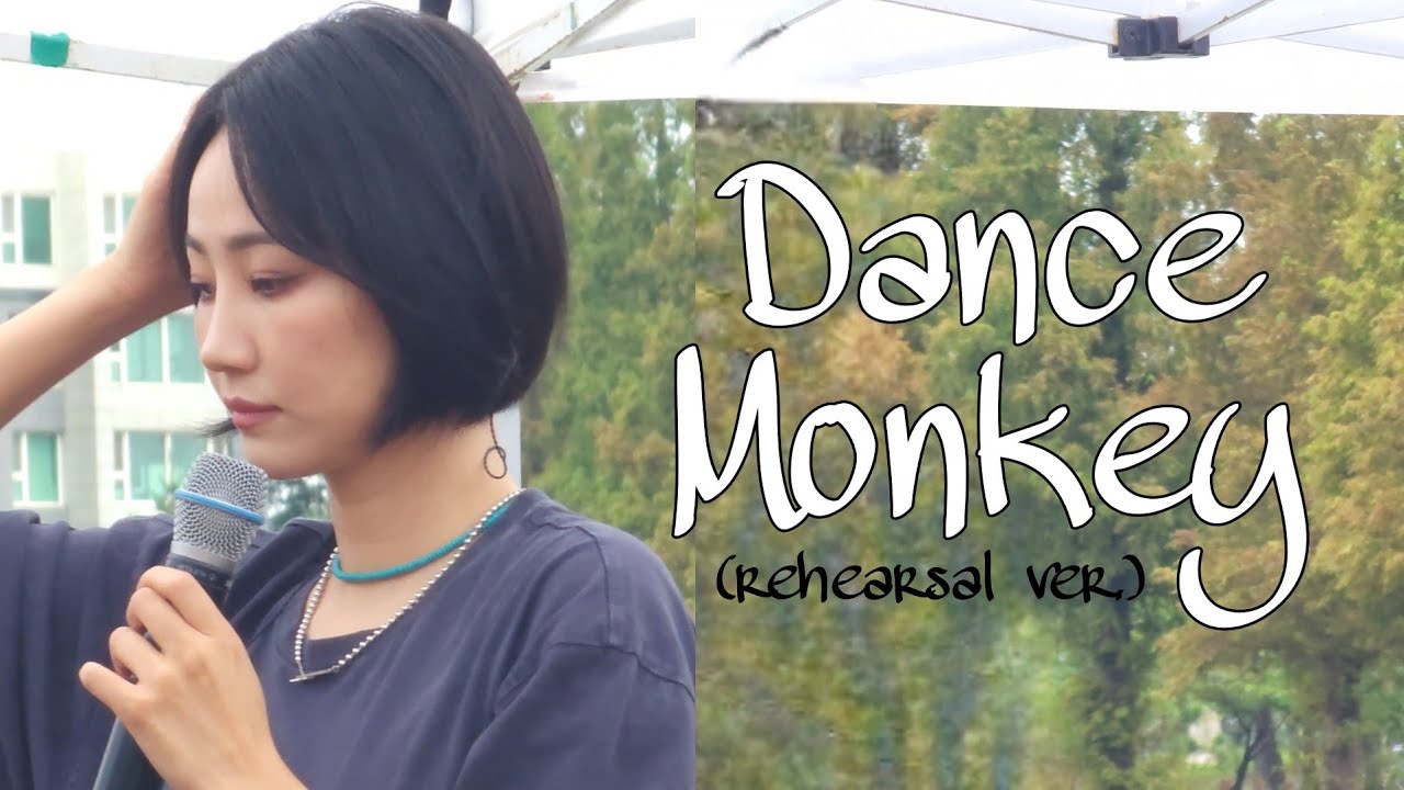 230915 핫펠트 HA:TFELT - Dance Monkey (rehearsal ver.) | 피크닉 라이브 소풍