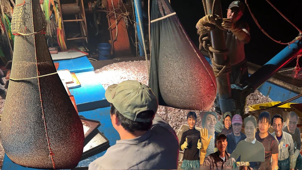 Nghề Sẻo Ngày 2 Gặp Cá Cơm Làm Đến Sáng Hết Két Full Hầm Chạy Về Bờ - Dân Biển