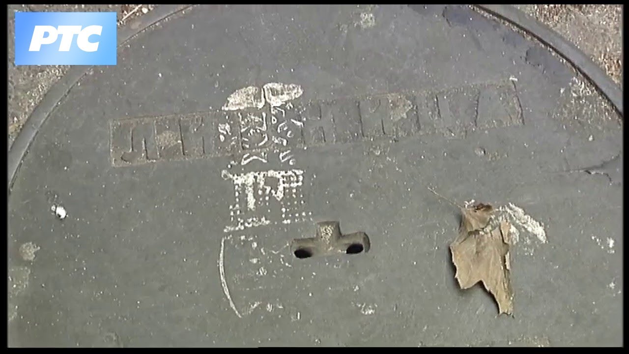 Zvona Save Lozanića