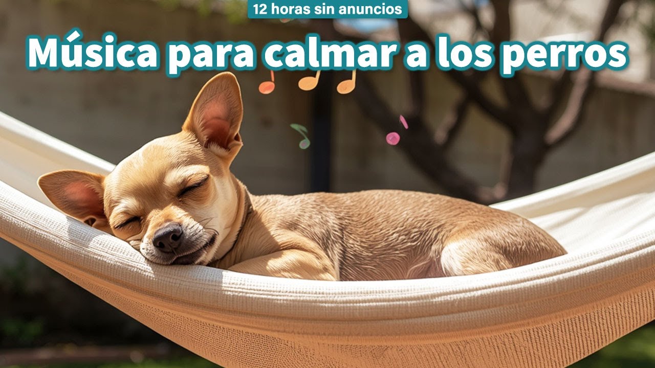 Música Relajante para Perros 12 Horas Sin Anuncios | Solos en Casa / vol.9