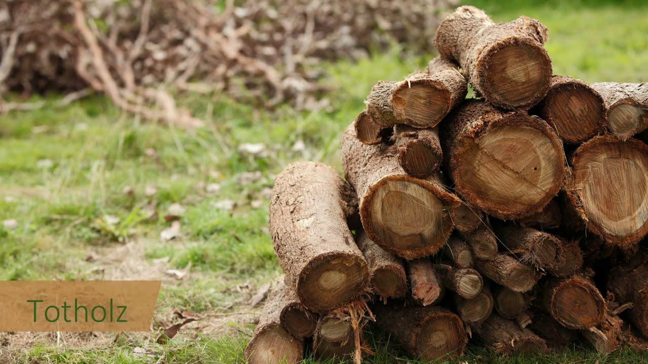 Artenvielfalt durch Strukturen im Garten | think green 2021