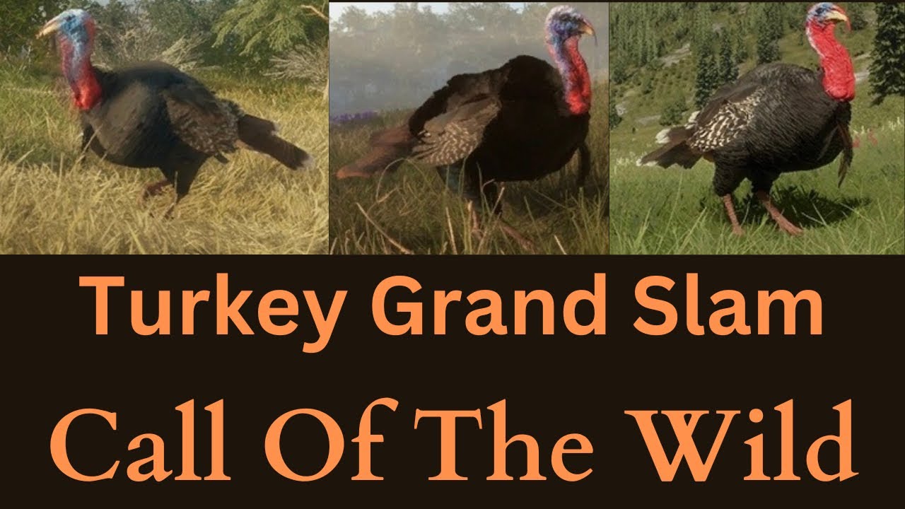Call Of The Wild, Turkey Grand Slam!!