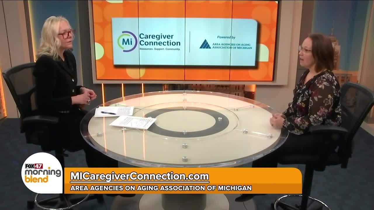 Area Agencies on Aging Association of Michigan - 2/27/26