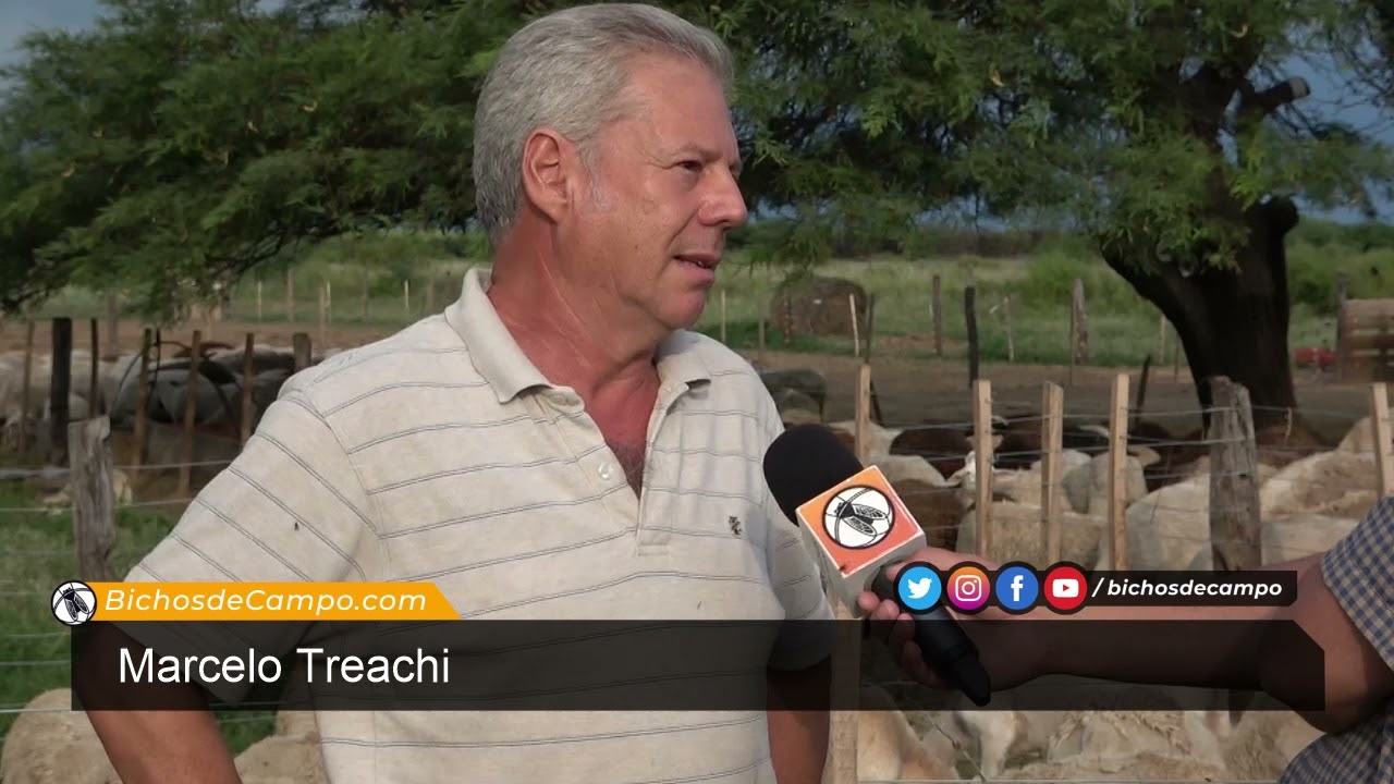 Marcelo Treachi, cabañero de ovinos en Santiago del Estero