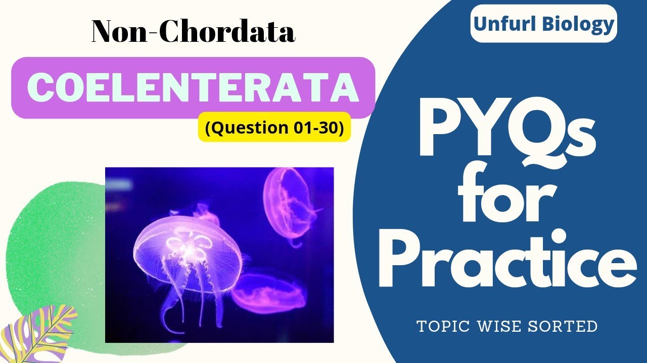 Non-Chordata (Coelenterata) MCQs (PYQ) for Practice #Coelenterata  #Coelenteratamcq #Coelenteratapyq