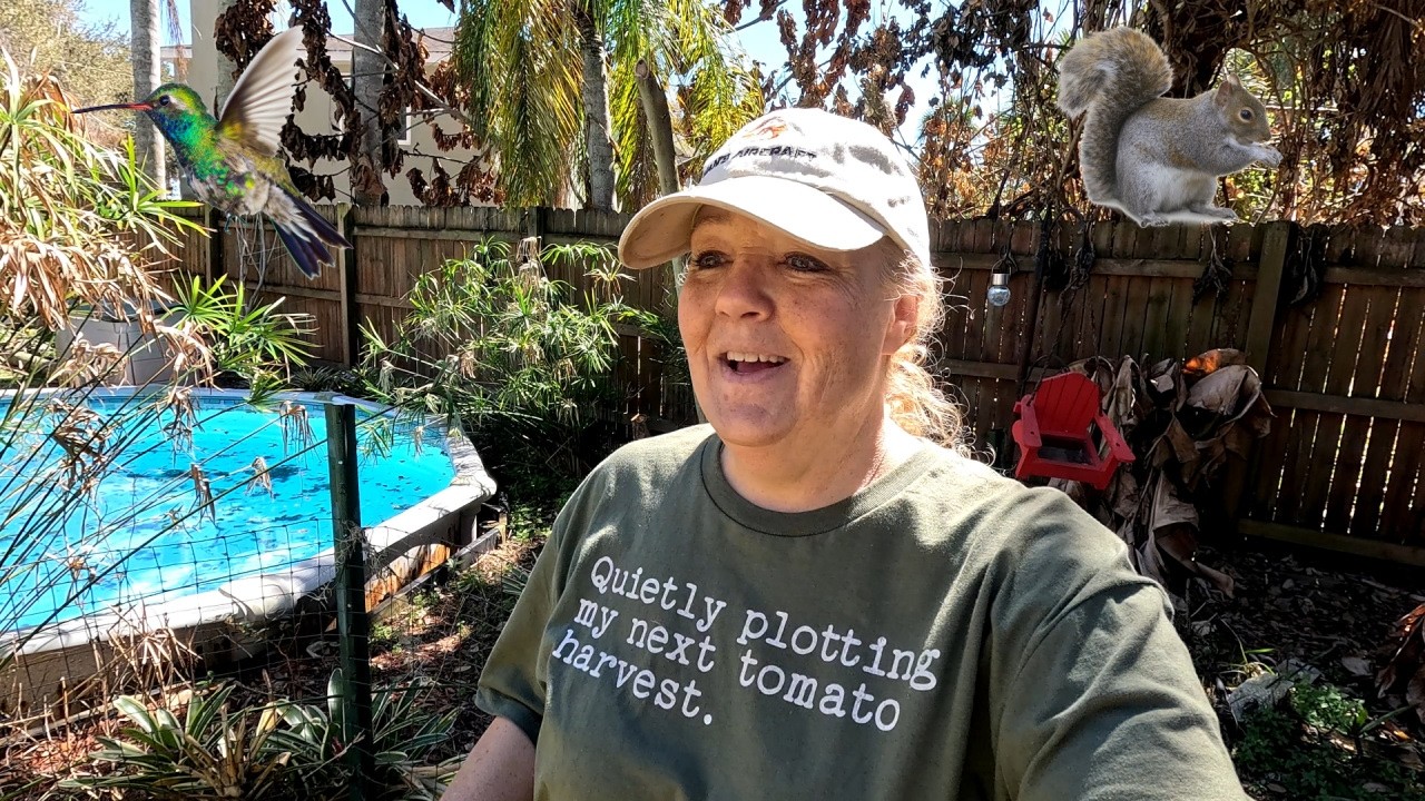 Finishing..err...Giving up on Pool Garden | Hummingbird flyby | Southern Latitudes