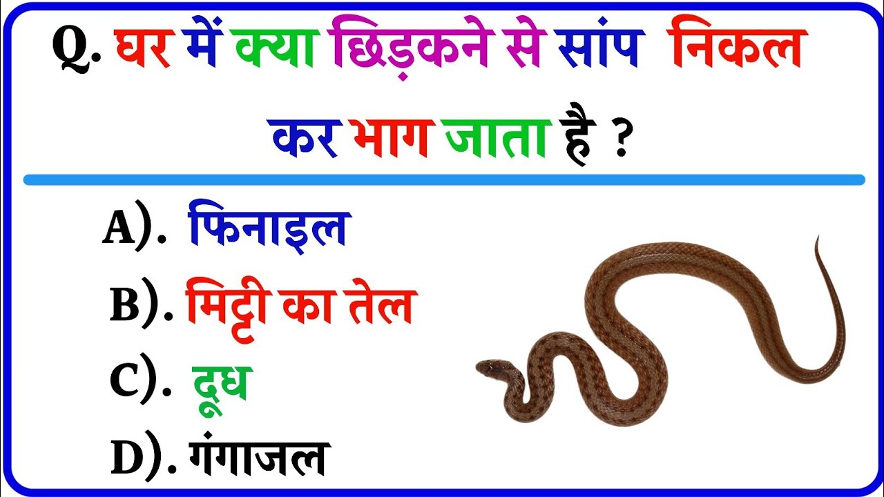 GK Questions || GK in Hindi || General Knowledge Questions and Answers || Gk Quiz || Gk ke Questions