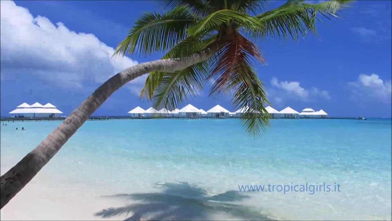 Diamonds ATHURUGA - Maldive - agosto 2016
