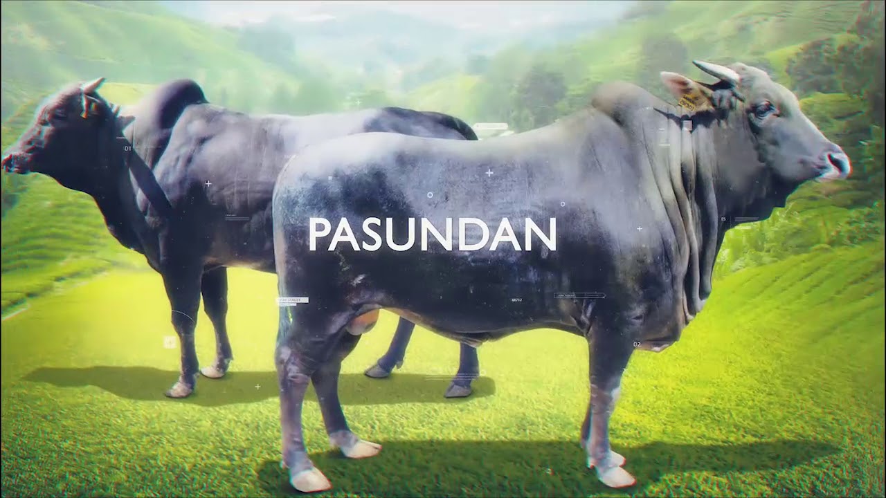 Profil Balai Inseminasi Buatan Lembang 2018