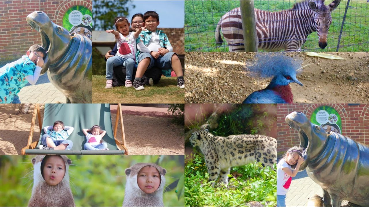 Marwell Zoo last Part 4k