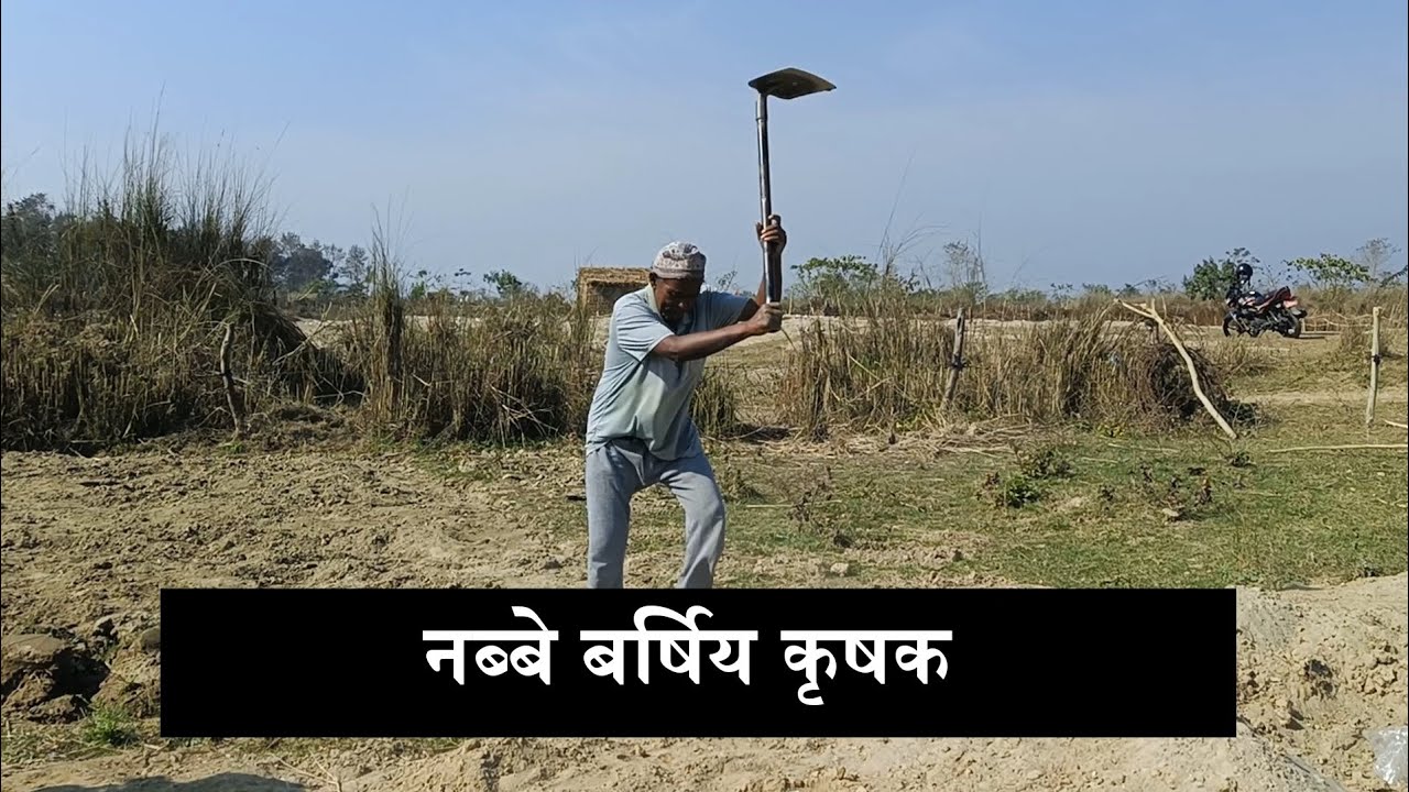 नब्बे बर्षिय कृषक । बगरमा तरकारी फलाउँछन् ।