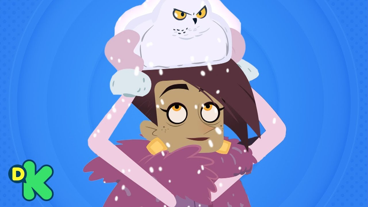 As corujas da neve | Aventuras com os Kratts | Discovery Kids Brasil