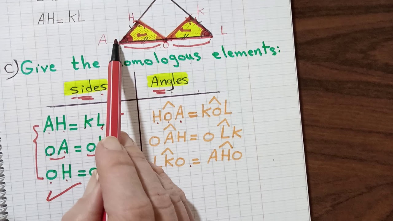homologous elements /grade7