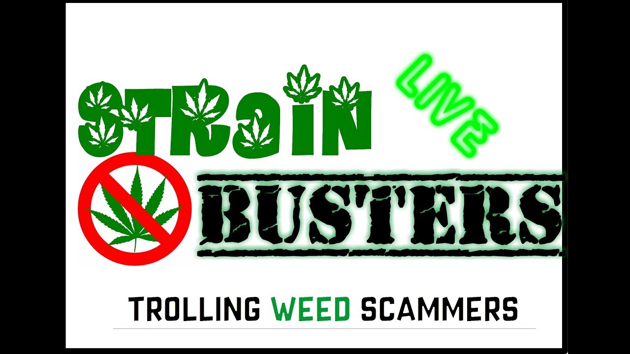 STRAIN BUSTERS LIVE - SCAMMING THE WEED SCAMMERS OF THE INTERNET - STRAIN CAINERS LIVE STREAM & CHAT