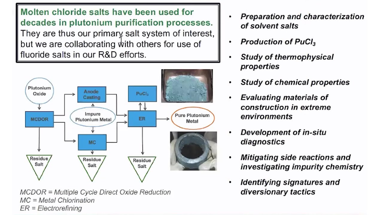 LANL Molten-Salt Reactor Research - Marisa Monreal @ ORNL MSRW  2020