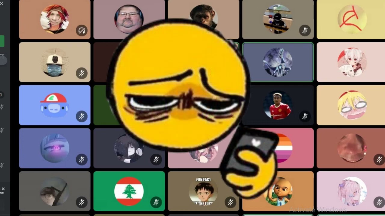 The Meowbahh Discord Server Experience