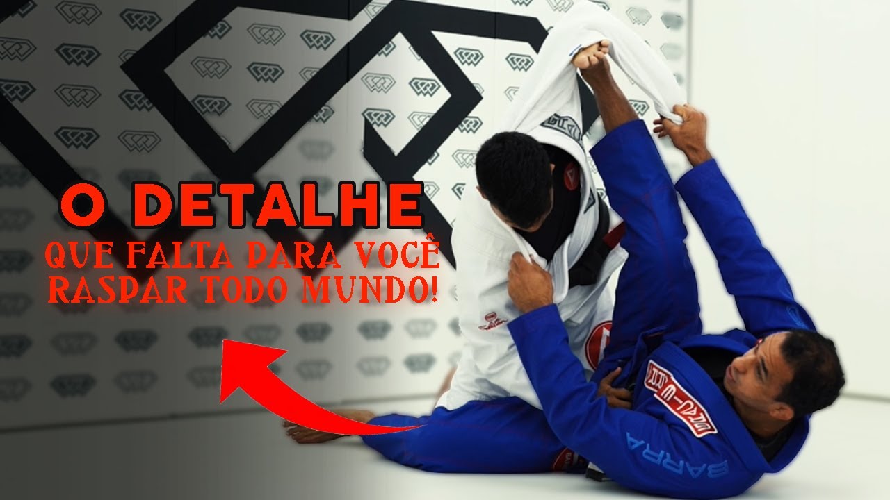 OS PRINCÍPIOS DA GUARDA ARANHA 2