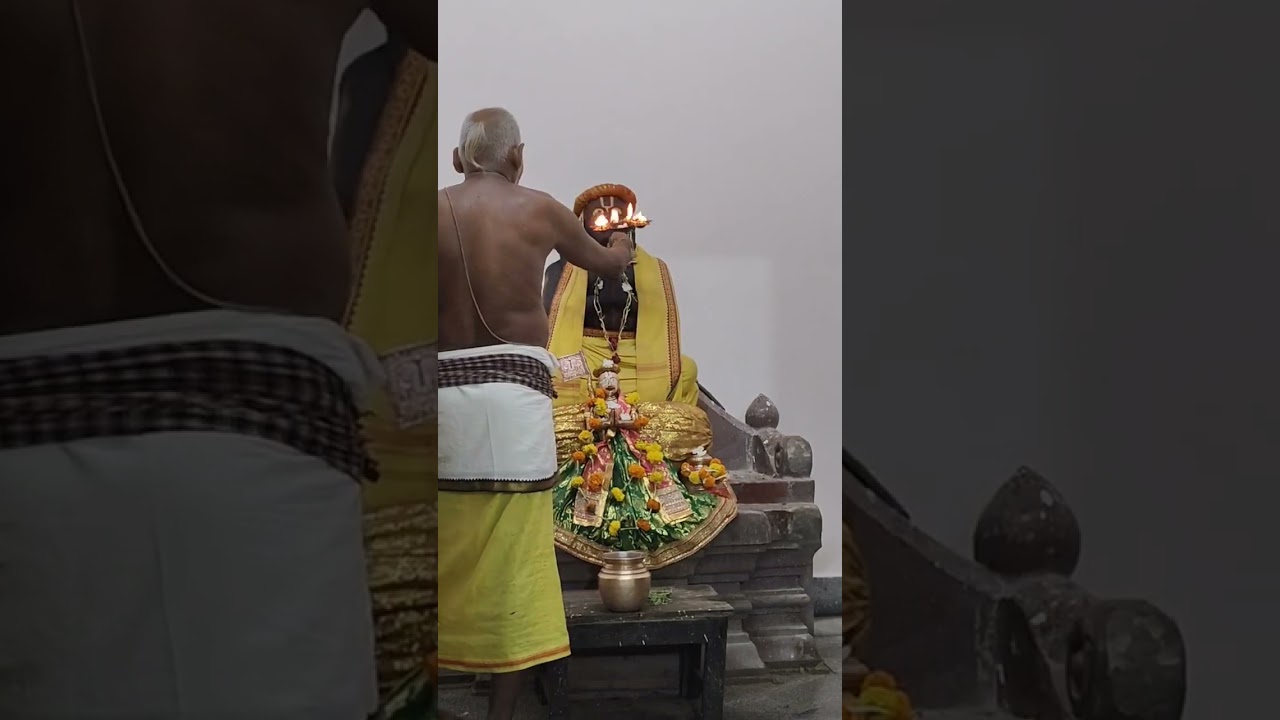 Jhula Yatra 💛 Shreekhetra Dham 🙏🙏 