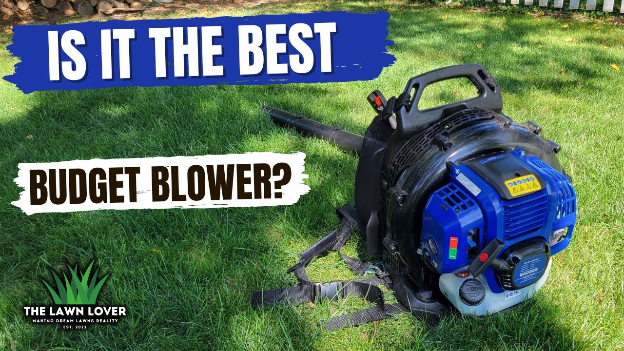 Is This The BEST Backpack Blower on a Budget? 