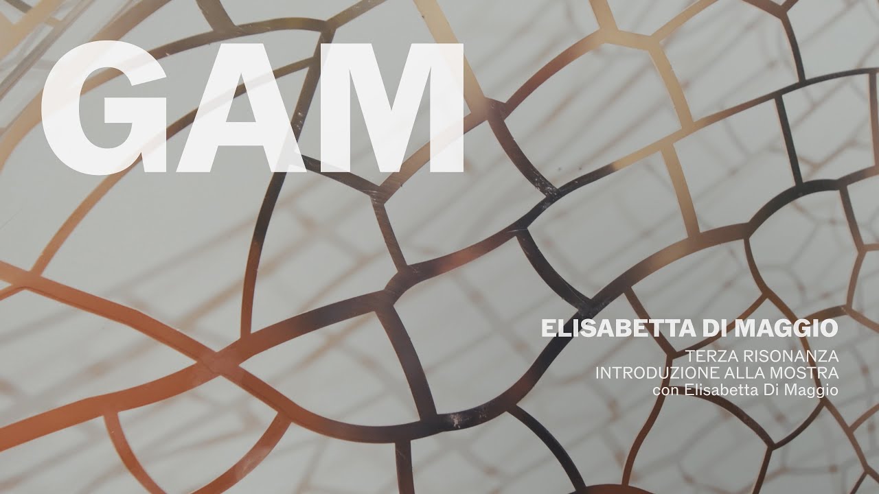 GAM - Contemporaneo - Elisabetta Di Maggio - Introduzione alla mostra